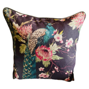 Peacock on Chocolate